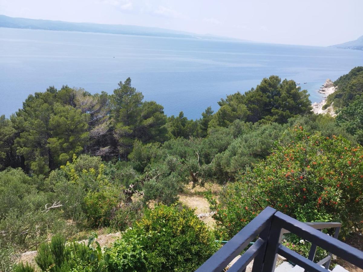 Apartments Mare - 150 M From Beach 브렐라 외부 사진