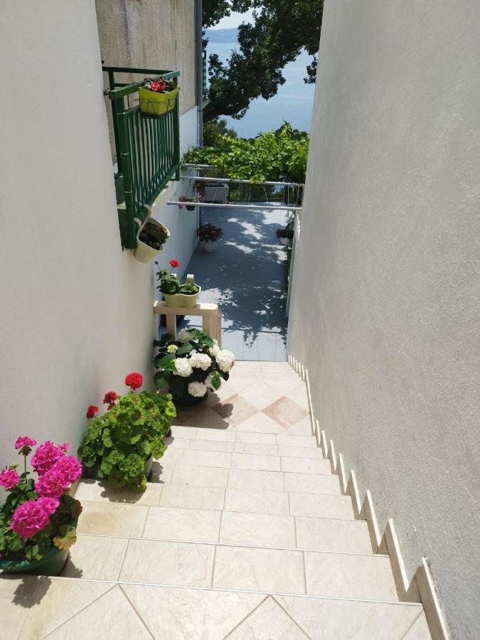 Apartments Mare - 150 M From Beach 브렐라 외부 사진